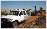 Aerial Patrol