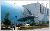 Prasad's Multiplex